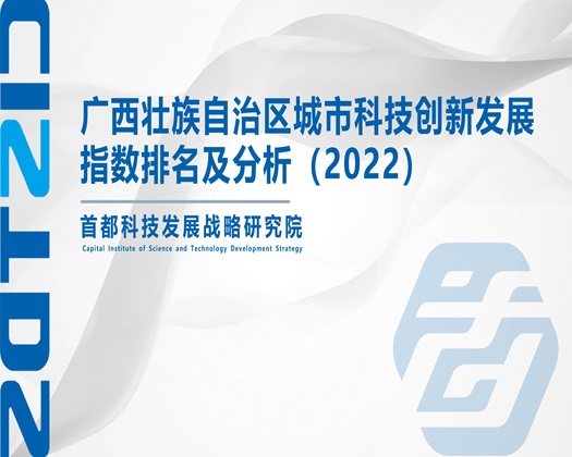 草逼免费观看视频【成果发布】广西壮族自治区城市科技创新发展指数排名及分析（2022）